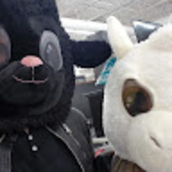 Meet your Posher, Tyler - Picture 1 of 1